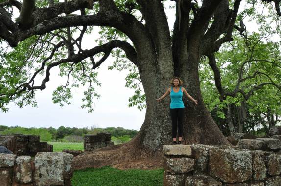 Uma enorme árvore cresce em meio às ruínas da antiga Missão em São Miguel das Missões, no Rio Grande do Sul